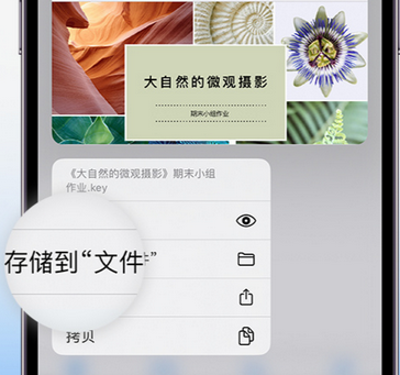 猇亭apple维修中心分享iPhone文件应用中存储和找到下载文件