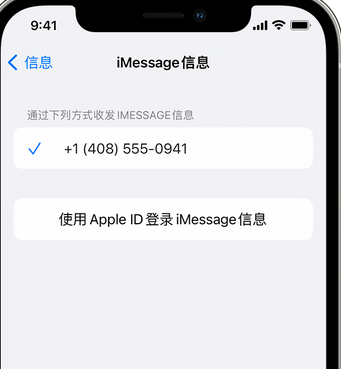 猇亭apple维修iPhone上无法正常发送iMessage信息 