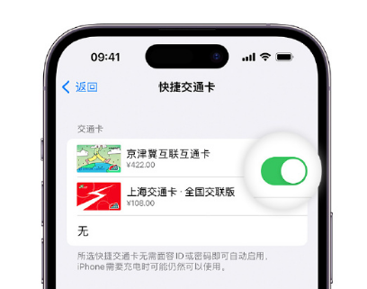 猇亭apple维修点分享iPhone上更换Apple Pay快捷交通卡手绘卡面 