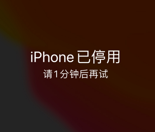 猇亭苹果手机维修分享:iPhone 显示“不可用”或“已停用”怎么办？还能保留数据吗？ 