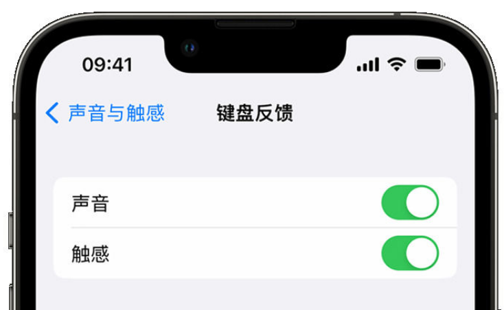 猇亭苹果手机维修分享iPhone 14触感键盘使用方法 