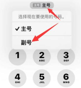 猇亭苹果14维修店分享iPhone 14 Pro Max使用副卡打电话的方法 