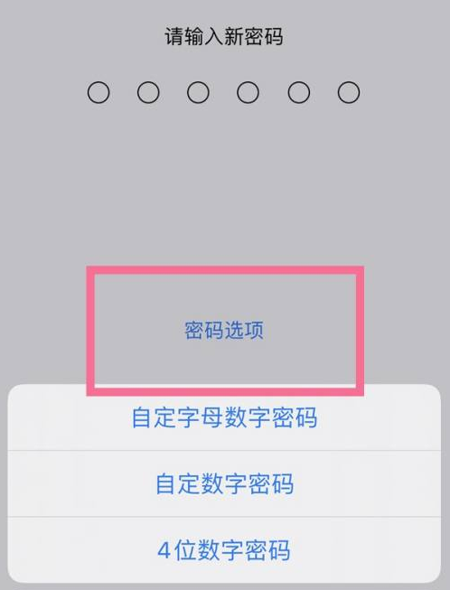 猇亭苹果14维修分享iPhone 14plus设置密码的方法 