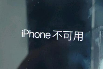 猇亭苹果服务网点分享锁屏界面显示“iPhone 不可用”如何解决 