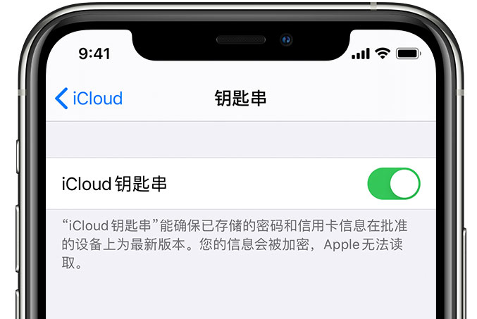 猇亭苹果手机维修分享在 iPhone 上开启 iCloud 钥匙串之后会储存哪些信息 