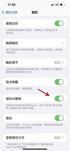 猇亭苹果手机维修分享iPhone手机如何设置摇一摇删除文字 